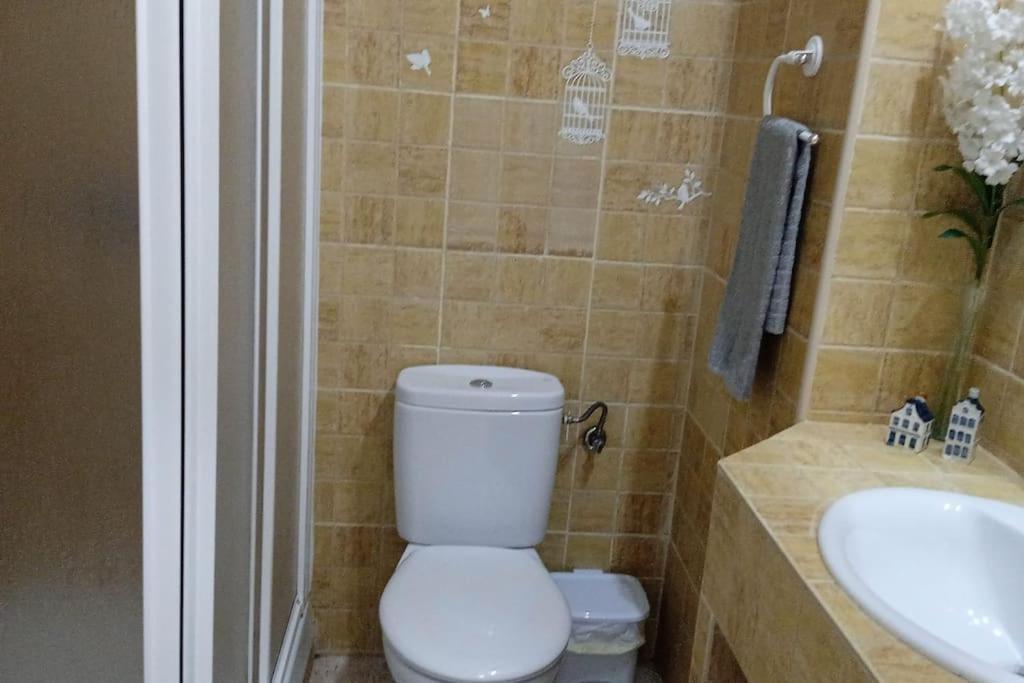 Acogedor Apartamento Jv36 قرطبة المظهر الخارجي الصورة