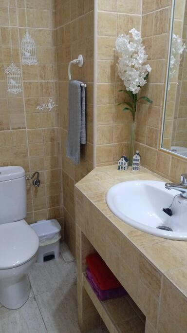 Acogedor Apartamento Jv36 قرطبة المظهر الخارجي الصورة